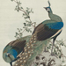 Hoen Nishiyama Gallery